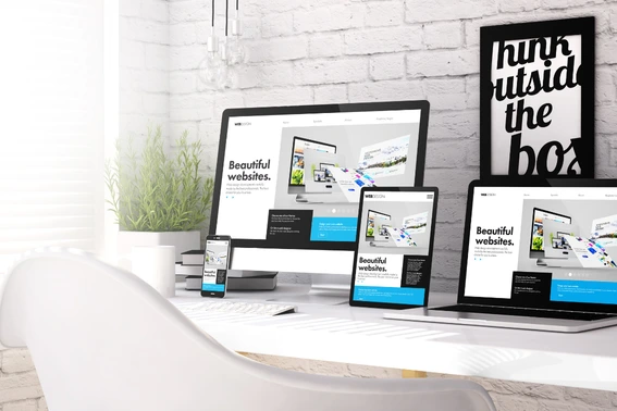 Choose Rank My Business For Web Development